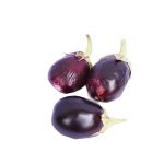 Small brinjal/ egg plant/ aubergine