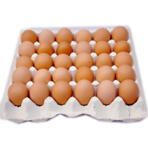 Eggs 30 Pcs