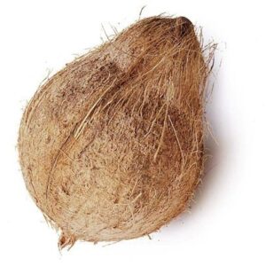 Coconut