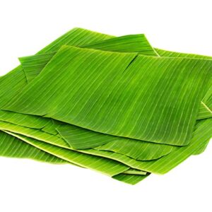 Banana Leaves