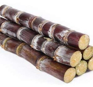 Sugarcane