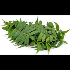 Neem Leaves