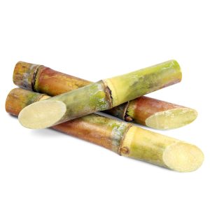 Sugarcane (1Piece)