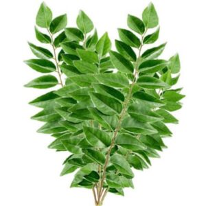 Curry Leaves