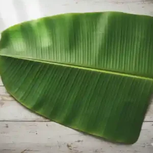Banana Leaves Fresh