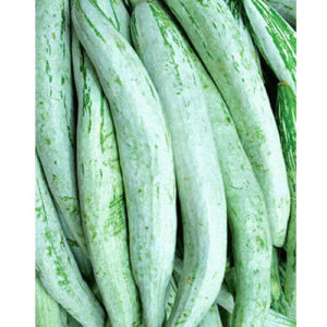 Snake Gourd 500g