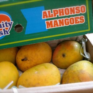 Alphonso Mangoes (1Box 6Pieces)