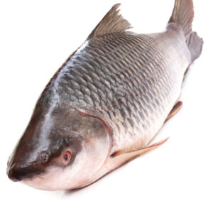 Rohu Fish Frozen (L) Around 3kg