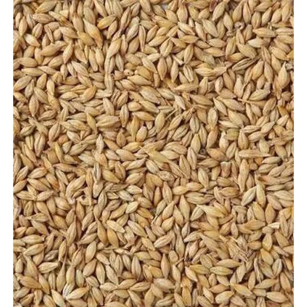 Barley Whole 500g