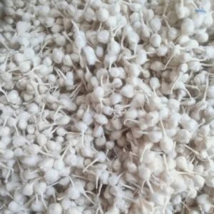 Cotton Wicks